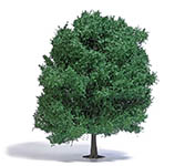 070-3762 - 1:87 - Eiche 220 mm